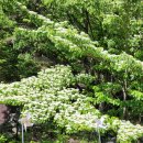 조암유원지 이미지