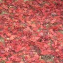 좋은생각 이미지