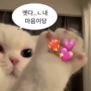 파리바게트 해운대센텀점 | 해운대 에스테틱 끌리메 센텀점 작은얼굴&amp;끌링관리 효과 만족 후기