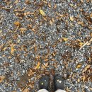 위크팜글램핑 이미지