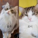 블루사진관 이미지