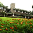 청남대 진입로 이미지