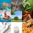 (주)머니웹 | 렛츠 겟 머니, 렛츠 겟 페이머스