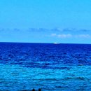 바다정원 이미지