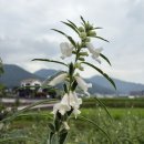 남해-296 이미지