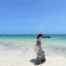 호호호비치 | [케냐 여행] 디아니 비치 치안·예산·후기 정리 (Diani Beach)
