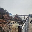 무의도자연휴양림 후기 2탄 예약부터 꿀팁까지