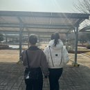 대전 연수원 5주 차