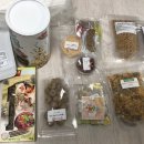 스프링 햄스터 이미지