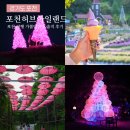 포천 여행 포천가볼만한곳 포천 허브아일랜드 주차 라벤더 축제 야경 솔직 후기