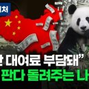 판다나라 이미지