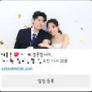 [공지] 결혼 준비 | D-169 | 살롱드레터, 15분 컷 모바일청첩장 셀프제작 후기 (+무료옵션, 무제한 수정)