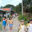 남성초등학교 이미지