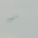 천지민박 이미지