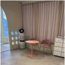 소중하개 펫살롱 이미지