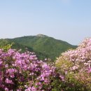 청산 이미지