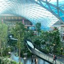 공간꽃조경 이미지