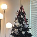 넘벌한우 | 횡성 감성 맛집 별이 쏟아지는 숙소 추천, 쉼더레스트 &amp; 근처 횡성한우 포장가능 맛집 추천