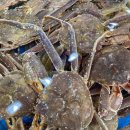 기장총각대게 이미지