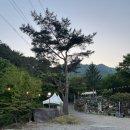 성주카 | [경북/성주] 수륜면 카페 275 - 계곡이 흐르는 카 대추차 한 잔, 몸보신 마무리!