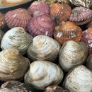 만선민박2 이미지