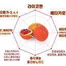 과일슈퍼천국 이미지