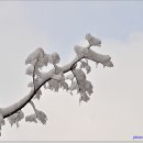 설화 이미지