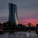 SUNRISE태권도장 연합뉴스