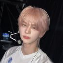 피치핑크 이미지