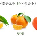 오토마켓 이미지