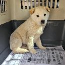 상옥리경로당 이미지