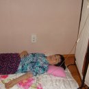 손철호재활의학과의원 이미지