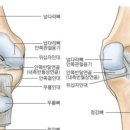 더 문 피티 필라테스 이미지