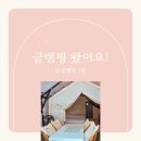 앙포레화장품 | [대전] 문글램핑은 힐링 장소일 수 밖에