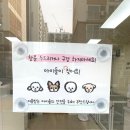 츄펫살롱 이미지
