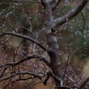 봄비문학관 이미지