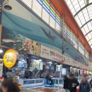 짝지식당 | 포항 영해회식당 박달대게 2인세트 후기