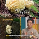 경신농장 이미지