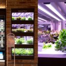 시티농장 이미지