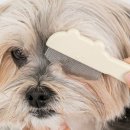 젤리그루밍 이미지