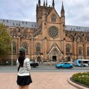 호주 시드니 자유여행 6박 8일(뉴타운, 시드니대학교, 천문대, 맨리비치, 세인트 메리 대성당, 뉴 사우...