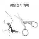 실버시스터즈