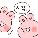 아라쭈꾸미진해 이미지