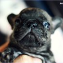 우리메드 이미지