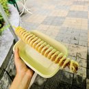 수옥정 | 괴산 수옥정 물놀이장 취사 가능 물놀이장 후기