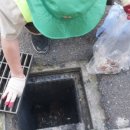 약산약국 이미지