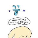 와이에프