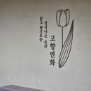 고향인테리어장식 이미지