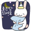 꽃비나비 네이버블로그