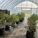 시골축산 이미지